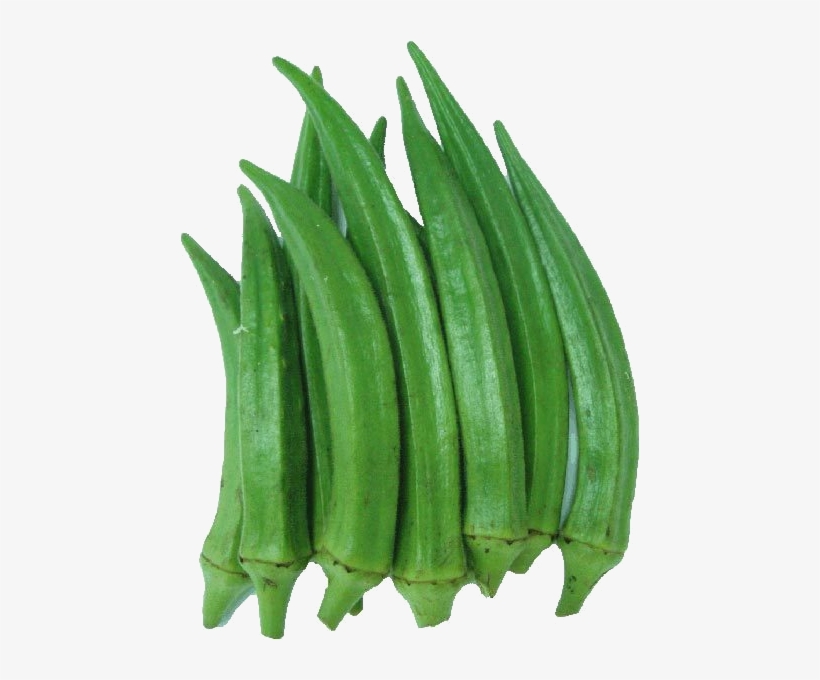 Lady Finger Free Home Delivery, all at your doorstep 10.00 am to 10.